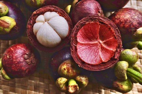 SKIN TO SKIN: POTENTIAL BENEFITS OF UPCYCLED MANGOSTEEN PEEL EXTRACT
