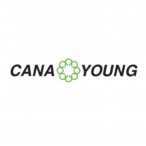 CANA YOUNG LTD
